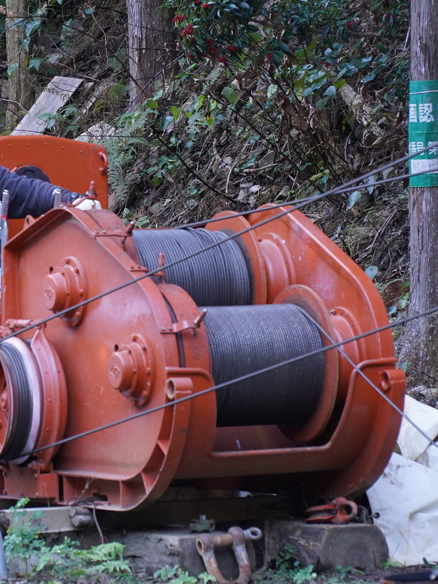 FUKUYAMA FORESTRY